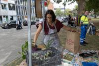 images/series/wijkfestival-oost-2025/2025-Wijkfestival-Oost 75.jpg